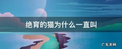 绝育的猫为啥还会一直叫 绝育的猫为什么一直叫