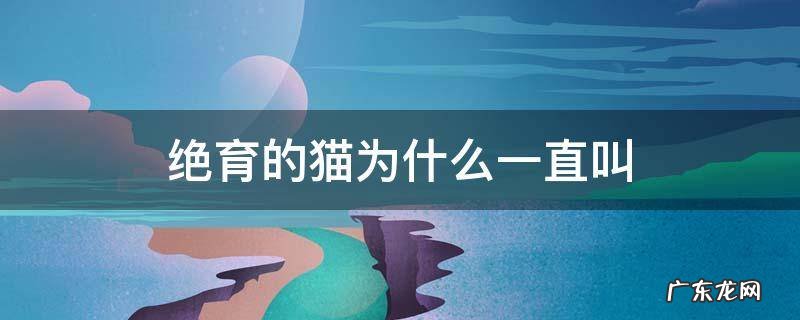 绝育的猫为啥还会一直叫 绝育的猫为什么一直叫