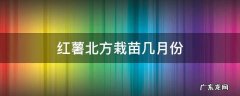 北方红薯什么时候种植 红薯北方栽苗几月份