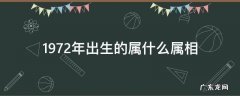 1972年出生的属什么属相 1972年出生属什么?