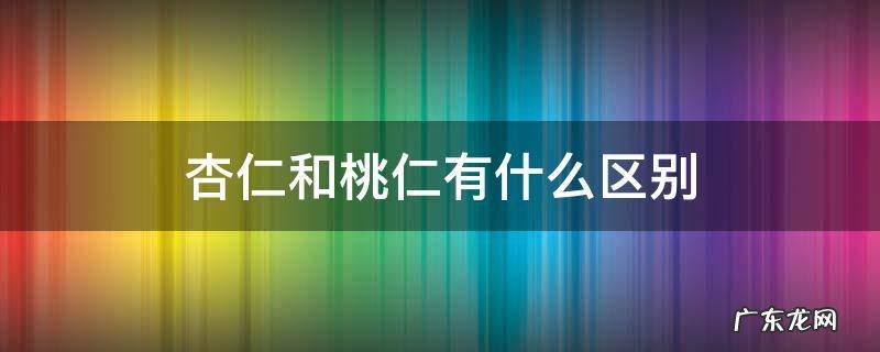杏仁与核桃仁的区别 杏仁和桃仁有什么区别