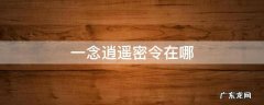 一念逍遥密令在哪用 一念逍遥密令在哪