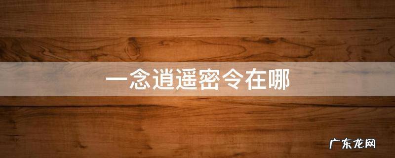 一念逍遥密令在哪用 一念逍遥密令在哪