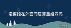 男方未离婚与他人同居算是重婚吗 没离婚在外面同居算重婚罪吗