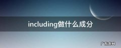 逗号后including做什么成分 including做什么成分