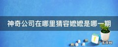 神奇公司在哪里容嬷嬷是什么游戏 神奇公司在哪里猜容嬷嬷是哪一期
