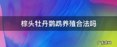 棕头牡丹鹦鹉养殖合法吗 养一只棕头牡丹鹦鹉犯法吗