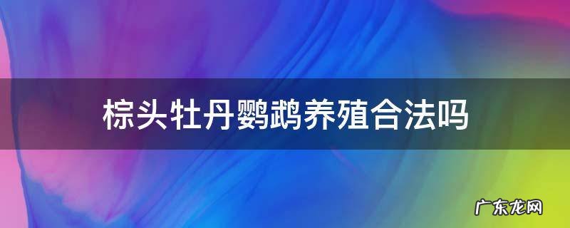 棕头牡丹鹦鹉养殖合法吗 养一只棕头牡丹鹦鹉犯法吗