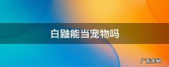 白鼬能不能养 白鼬能当宠物吗