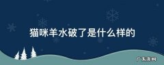 猫咪羊水破了该怎么办 猫咪羊水破了是什么样的