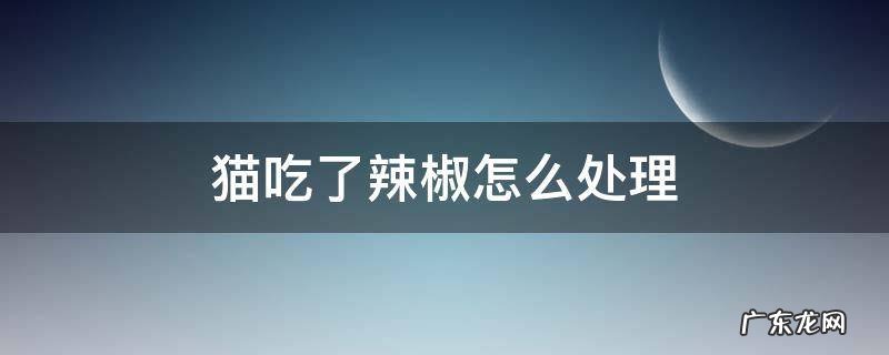 猫吃了辣椒怎么处理 猫咪不小心吃了辣椒怎么办