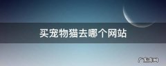 买宠物猫去哪个网站 买宠物猫去什么网站
