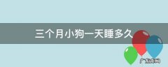三个半月的小狗每天睡多久 三个月小狗一天睡多久