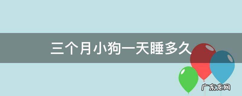 三个半月的小狗每天睡多久 三个月小狗一天睡多久