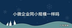 小微企业是什么意思,同小规模一样吗? 小微企业同小规模一样吗