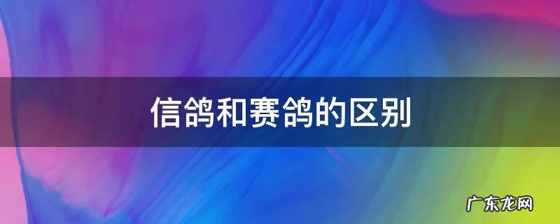 信鸽和赛鸽的区别 信鸽有什么区别