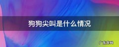 狗狗尖叫是什么情况 狗狗尖叫有几种原因