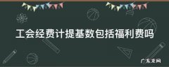 工会经费计提基数包括福利费吗 工会经费计提基数包括福利费吗怎么算