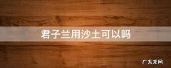 君子兰用沙土可以吗 君子兰现在换土用沙可以么