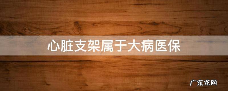 心脏支架属于大病医保 心脏支架属于大病医保范围吗
