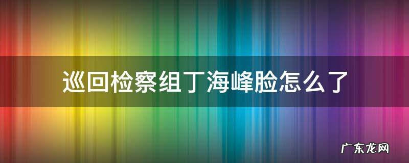 巡回检察组丁海峰脸怎么了 《巡回检察组》丁海峰