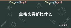 金毛比赛都比什么 赛级金毛