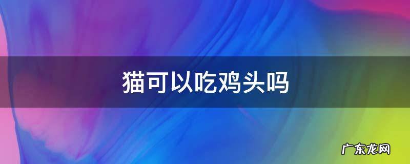 猫可以吃鸡头吗 猫可以吃鸡头吗 煮熟的