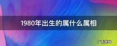 请问1980年出生的属相是什么 1980年出生的属什么属相