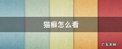 猫癣怎么看是要好了? 猫癣怎么看
