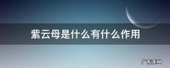 紫云母是什么有什么作用 紫云母的功能和作用