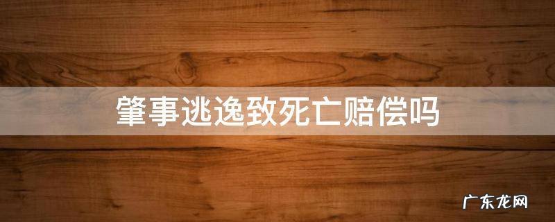 肇事逃逸致人死亡民事赔偿标准 肇事逃逸致死亡赔偿吗