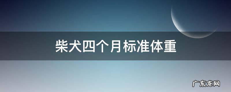 柴犬四个月标准体重 四个月柴犬体重多少