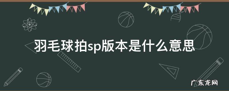 羽毛球拍子sp版是什么意思 羽毛球拍sp版本是什么意思