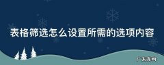 excel怎么筛选出自己想要的数据 表格筛选怎么设置所需的选项内容