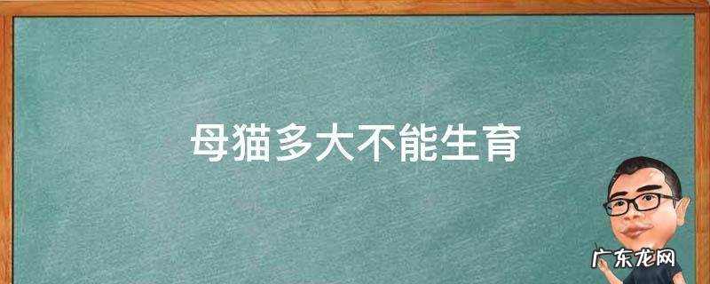 母猫多大不能生育 母猫多长时间可以生育