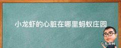 小龙虾的心脏在哪里蚂蚁庄园 吃小龙虾 蚂蚁庄园