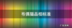 布偶猫品相标准图片 布偶猫品相标准