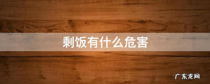 剩饭有什么危害 猫吃剩菜剩饭有什么危害