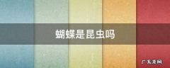 昆虫有哪些蝴蝶是昆虫吗 蝴蝶是昆虫吗
