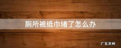 蹲坑厕所被纸巾堵了怎么办 厕所被纸巾堵了怎么办