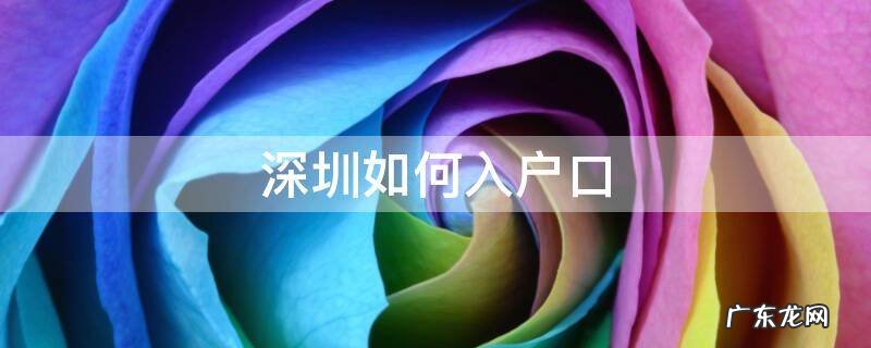 深圳如何入户口 深圳户口怎么入户