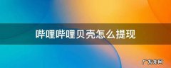 哔哩哔哩贝壳怎么提现 哔哩哔哩贝壳怎么提现支付宝