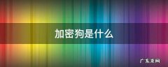 加密狗是什么 加密狗