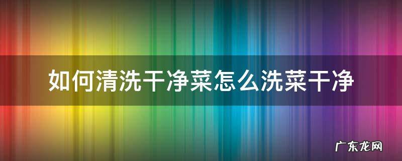 如何洗菜比较干净 如何清洗干净菜怎么洗菜干净