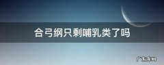 合弓纲只剩哺乳类了吗 合弓纲和哺乳纲