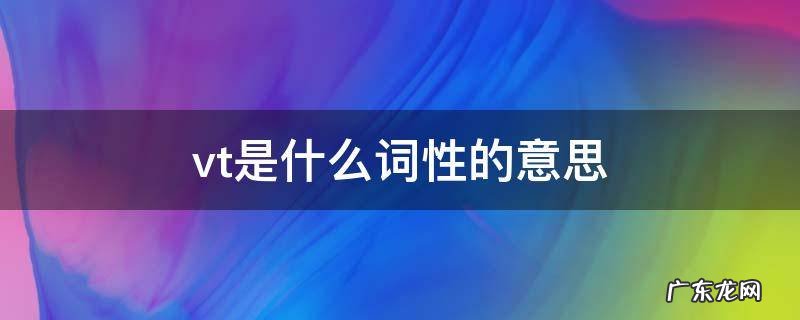 vt是什么词性的意思 vt词性表示什么意思