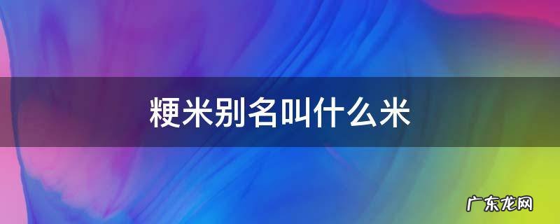 粳米是哪种 粳米别名叫什么米