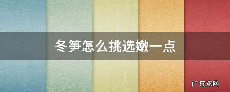冬笋如何挑选冬笋 冬笋怎么挑选嫩一点