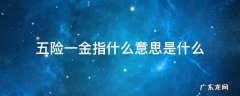 五险一金指什么意思是什么 五险一金的意思是什么