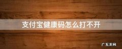 支付宝健康码怎么打不开 支付宝健康码怎么打不开啦